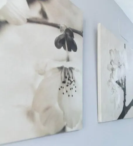 Pasquin Apartament *